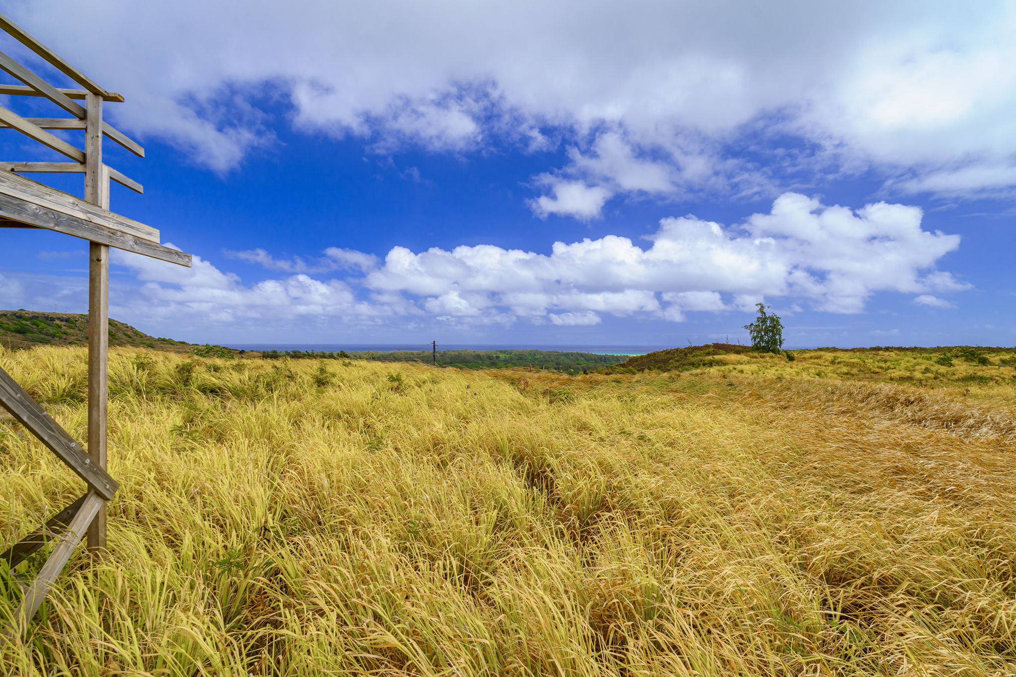 Kahuku, Hawaii, 96731, United States, ,Land,For Sale,2007887