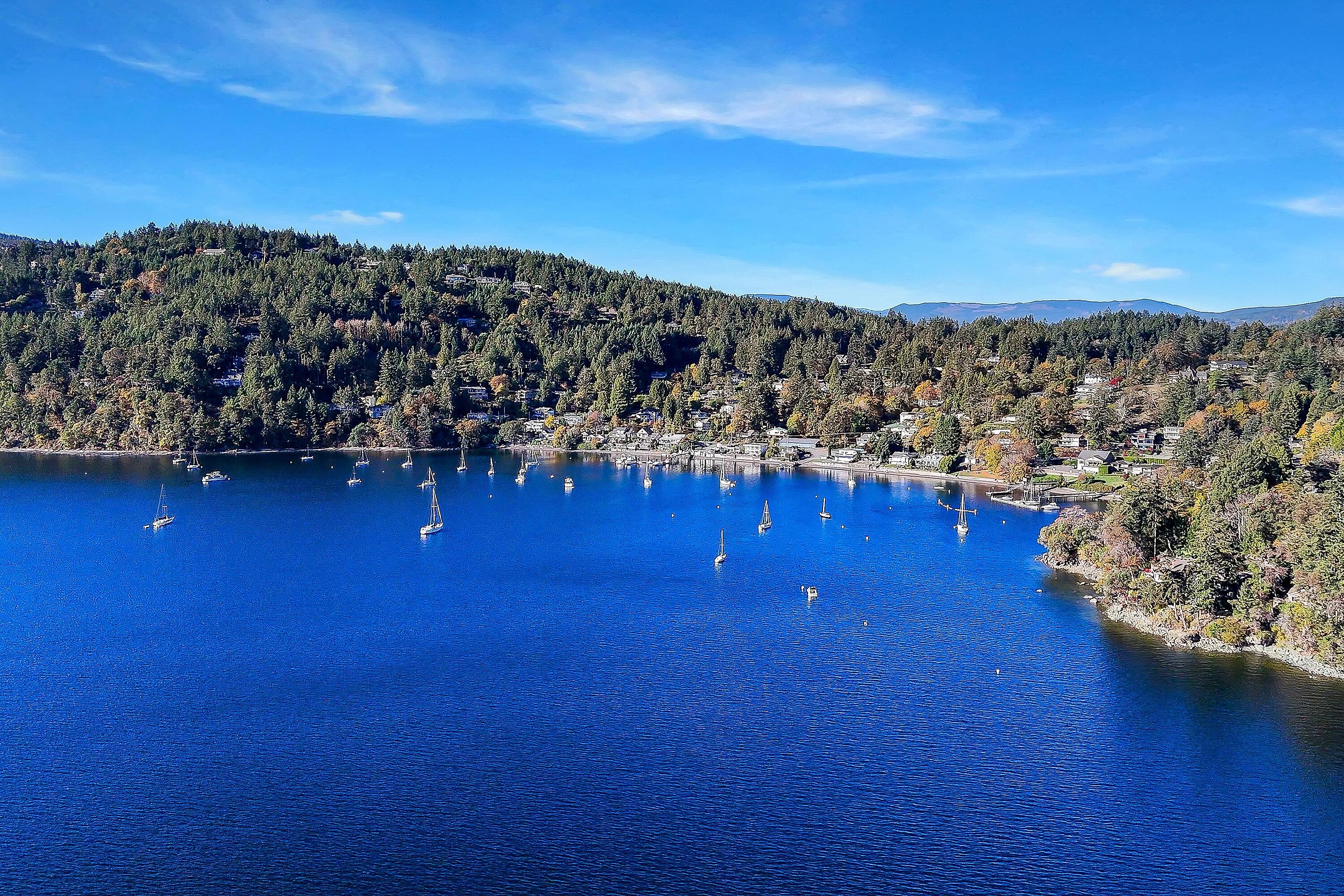  Beautiful Maple Bay - 物件實景