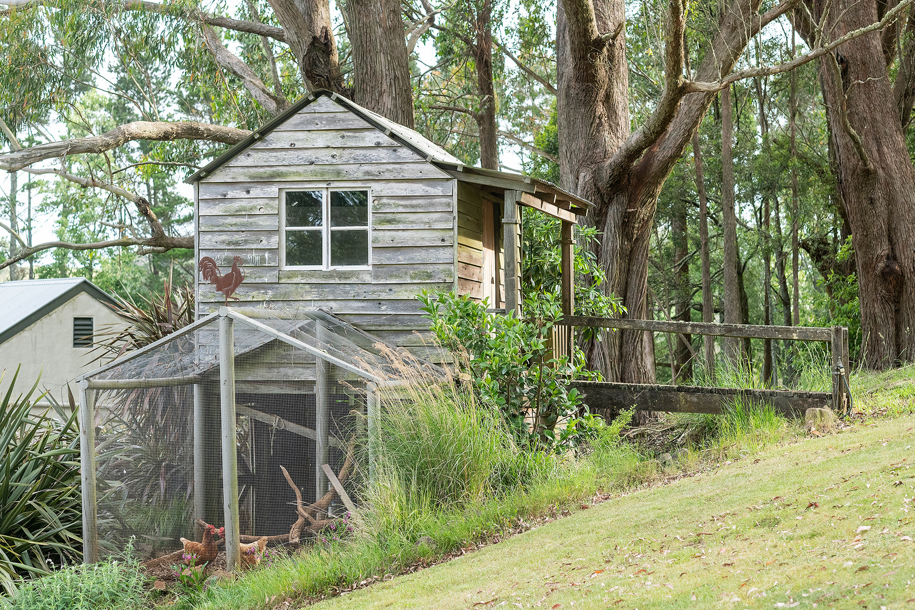  Fox Hill - 物件實景