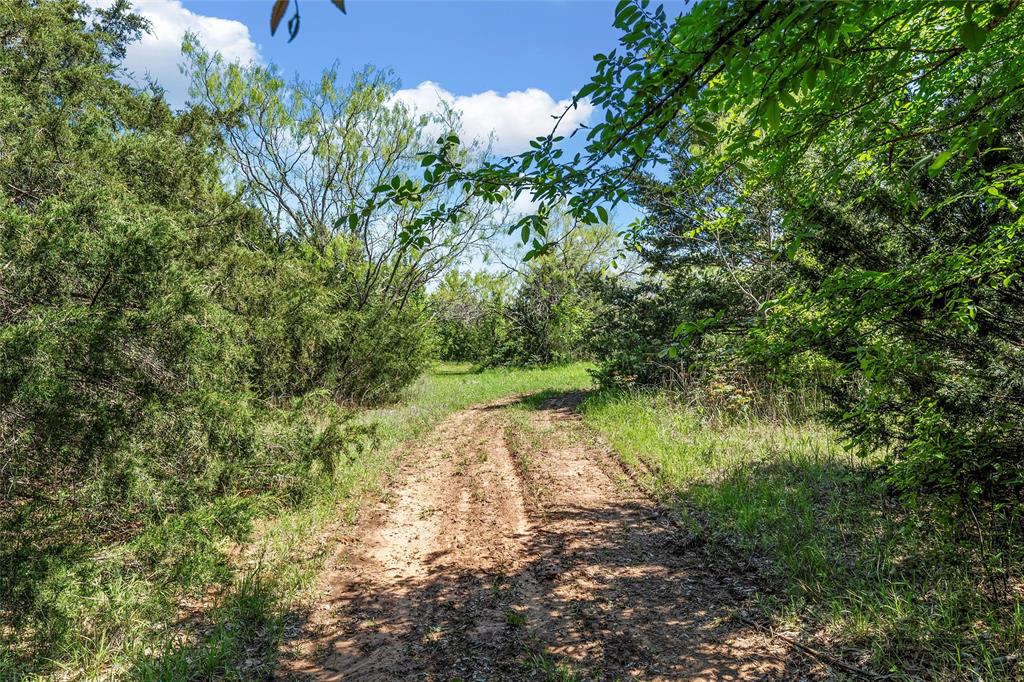 Mexia, Texas, 76667, United States, 3 Bedrooms Bedrooms, ,2 BathroomsBathrooms,Residential,For Sale,1770816