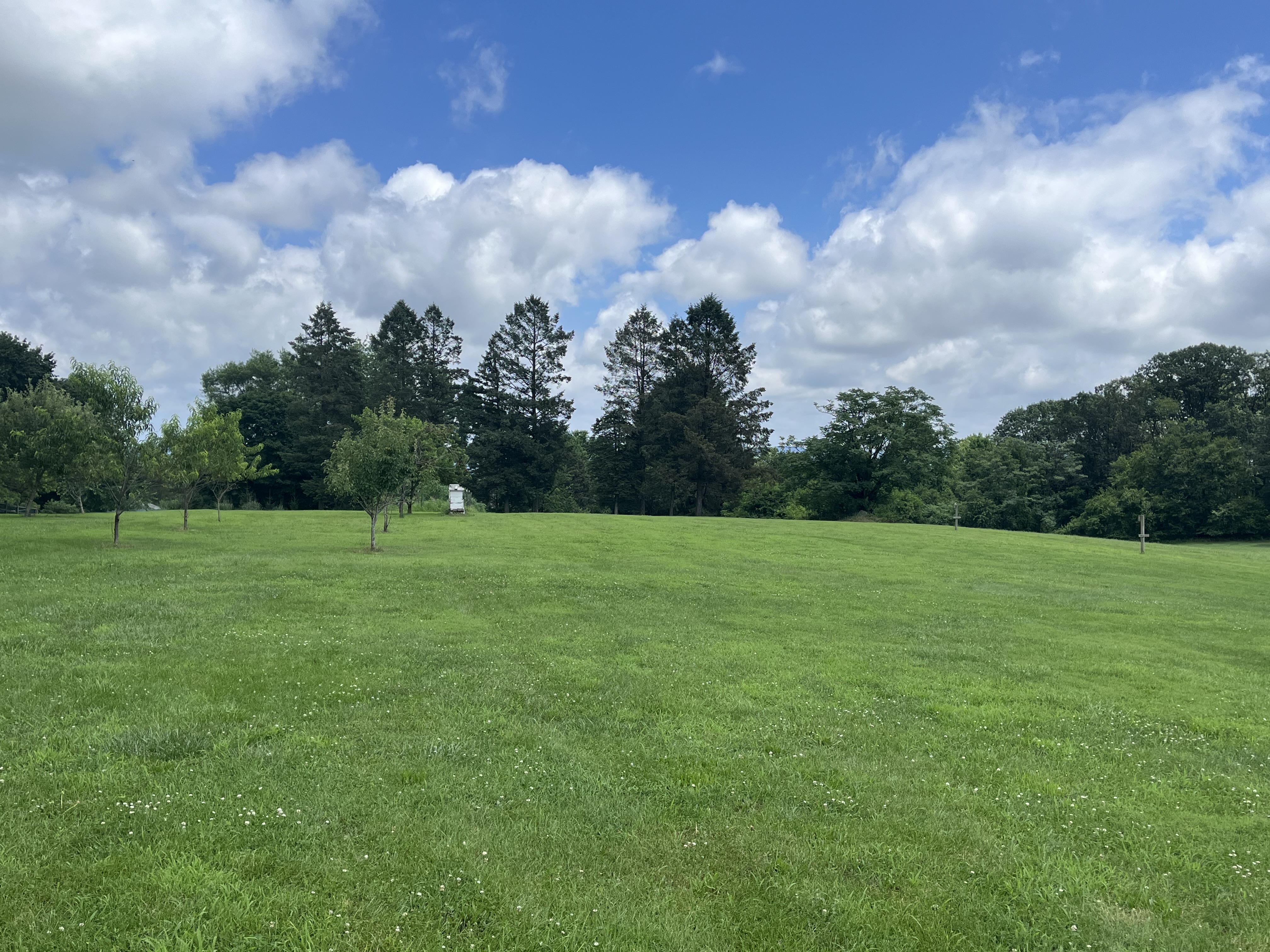 Reading, Pennsylvania, 19606, United States, 4 Bedrooms Bedrooms, ,3 BathroomsBathrooms,Residential,For Sale,1979384