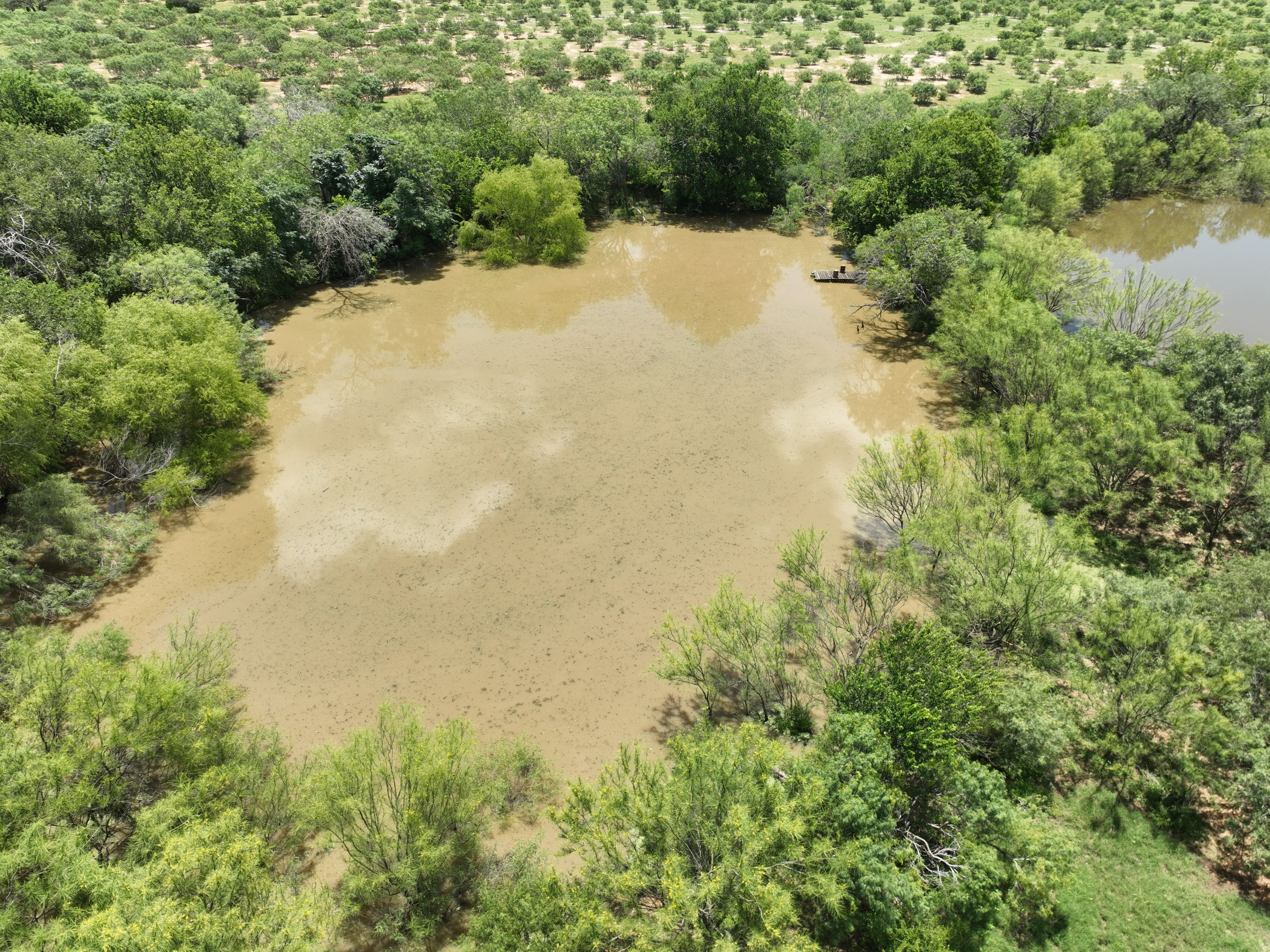  87.69+/- Acres in Bexar County - 物件實景