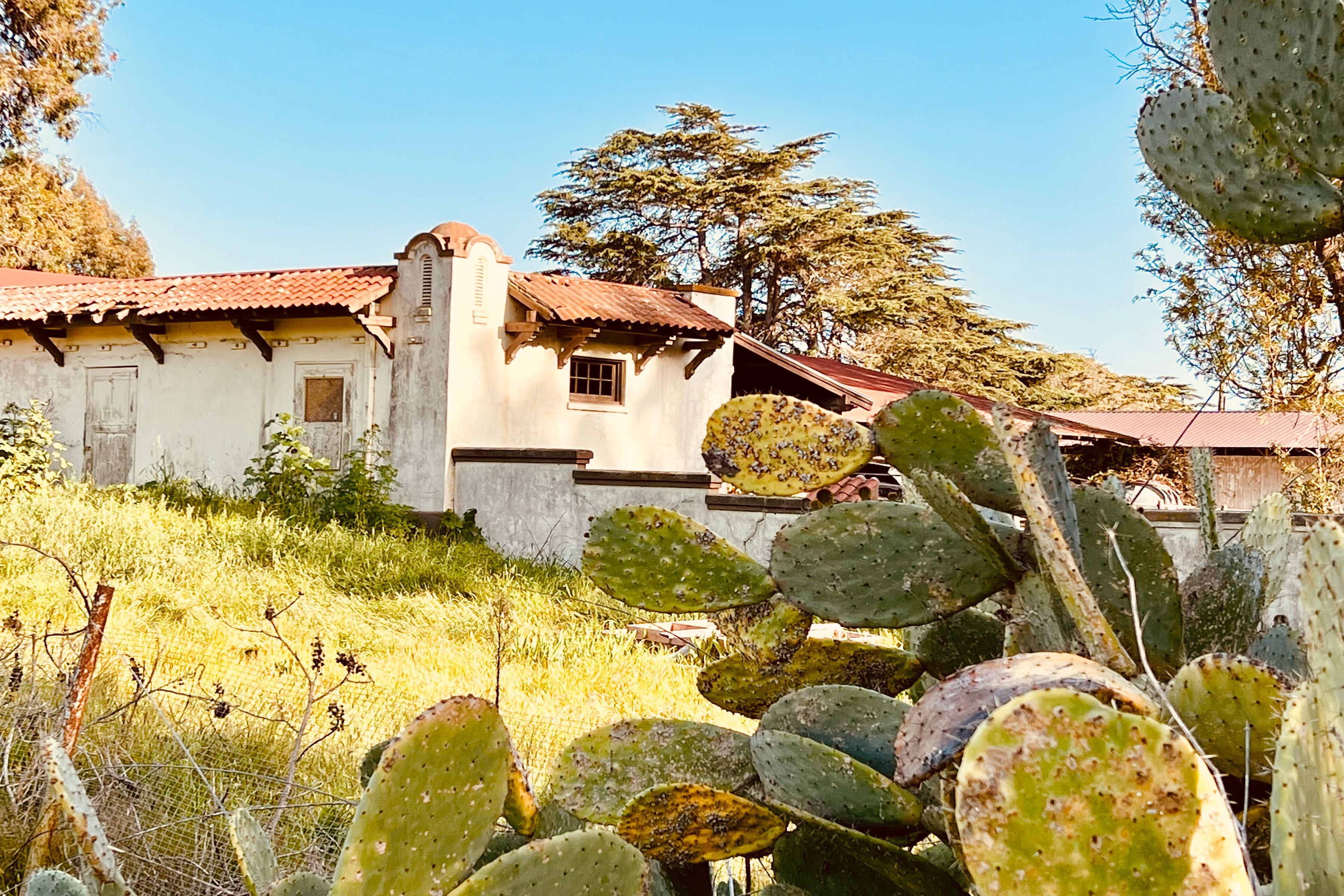  Rancho Dos Pueblos - 物件實景