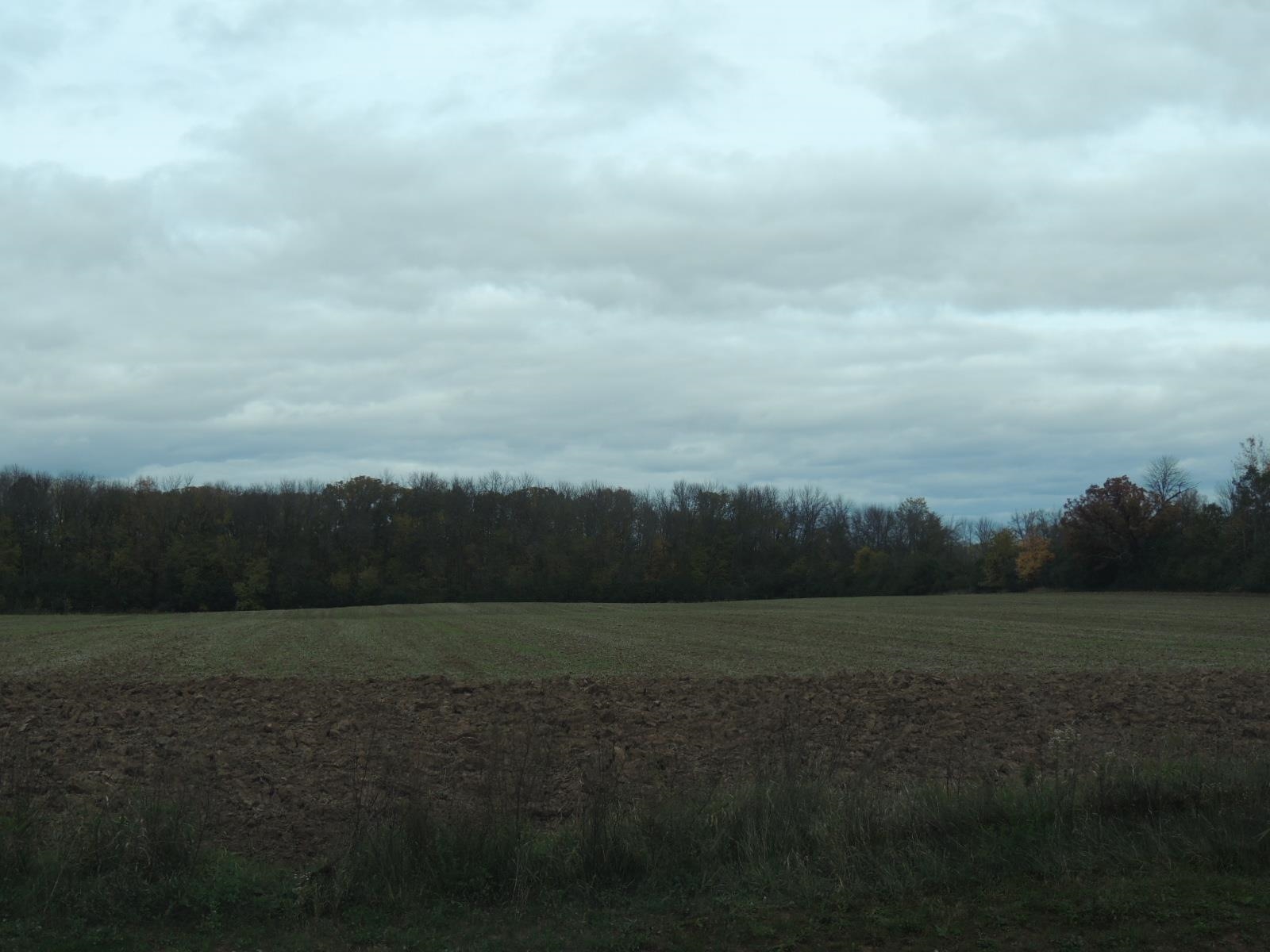 Neenah, Wisconsin, 54956, United States, ,Land,For Sale,1983139