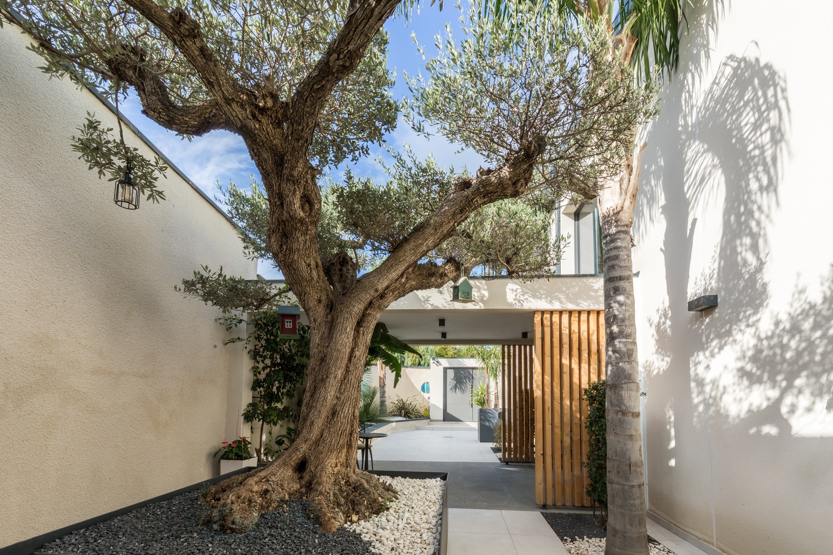  Close to the center of Perpignan – Luxury Contemporary House - 物件實景