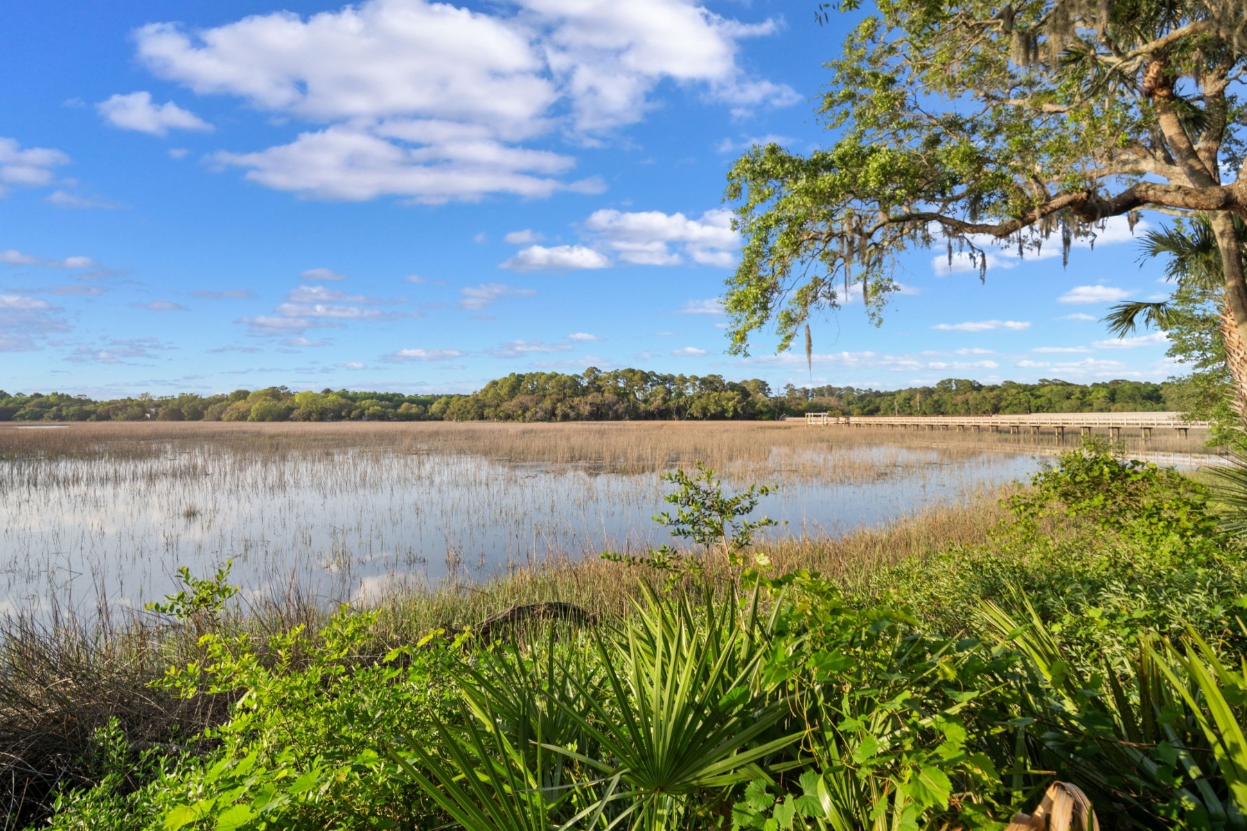  25 Seagrass Landing Court, Hilton Head Island - 物件實景