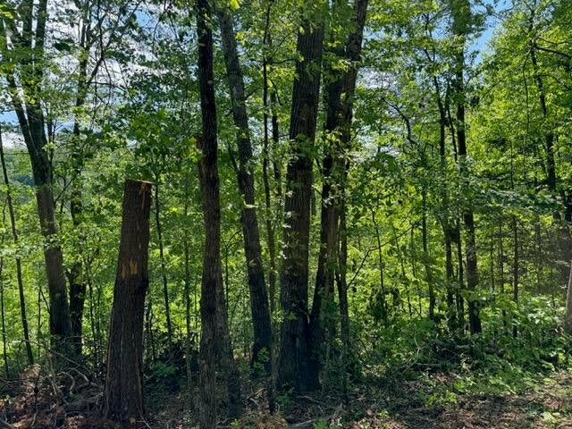 Sevierville, Tennessee, 37876, United States, 13 Bedrooms Bedrooms, ,14 BathroomsBathrooms,Residential,For Sale,1974606