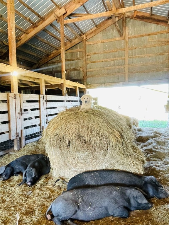 Berryville, Arkansas, 72616, United States, 6 Bedrooms Bedrooms, ,4 BathroomsBathrooms,Residential,For Sale,1988341