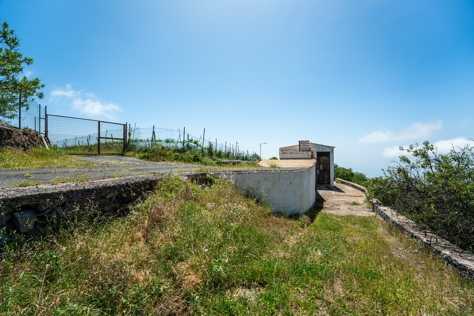  Traditional Agricultural Estate with Winery in Tenerife South - 物件實景