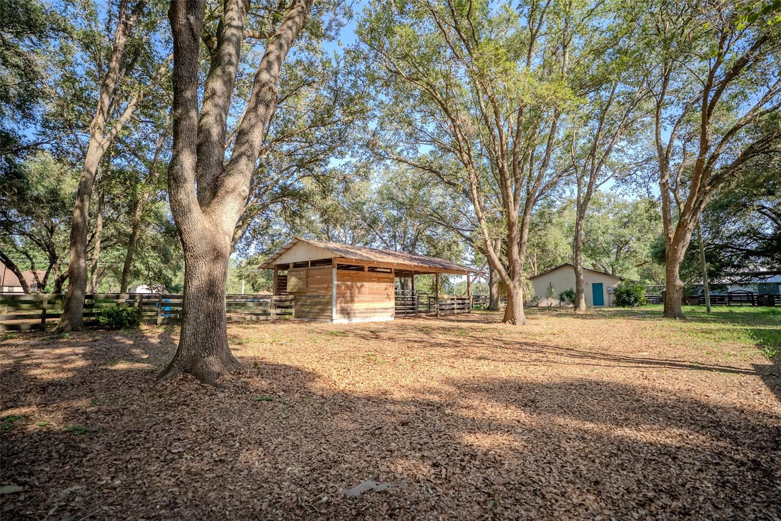 LADY LAKE, Florida, 32159, United States, 5 Bedrooms Bedrooms, ,3 BathroomsBathrooms,Residential,For Sale,1850305