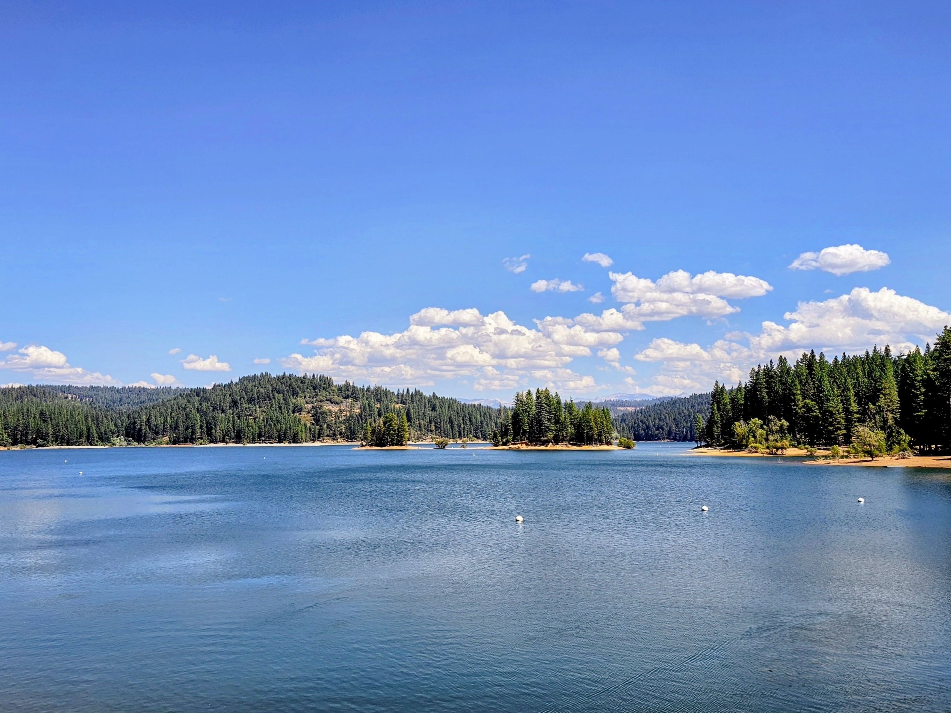  5690 Lupin Lane, Pollock Pines, CA 95726 - 物件實景