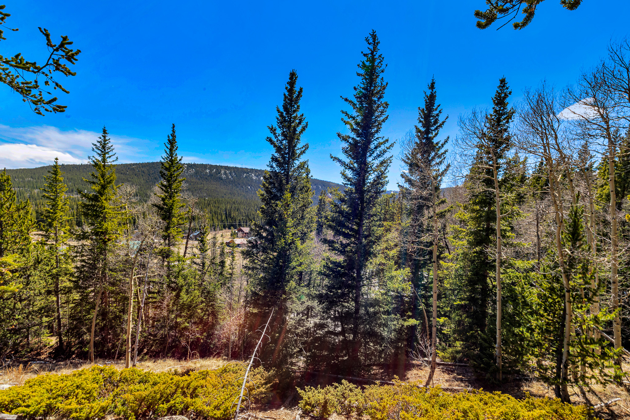  270 Co Rd 667, Alma, CO, 80440 - 物件實景