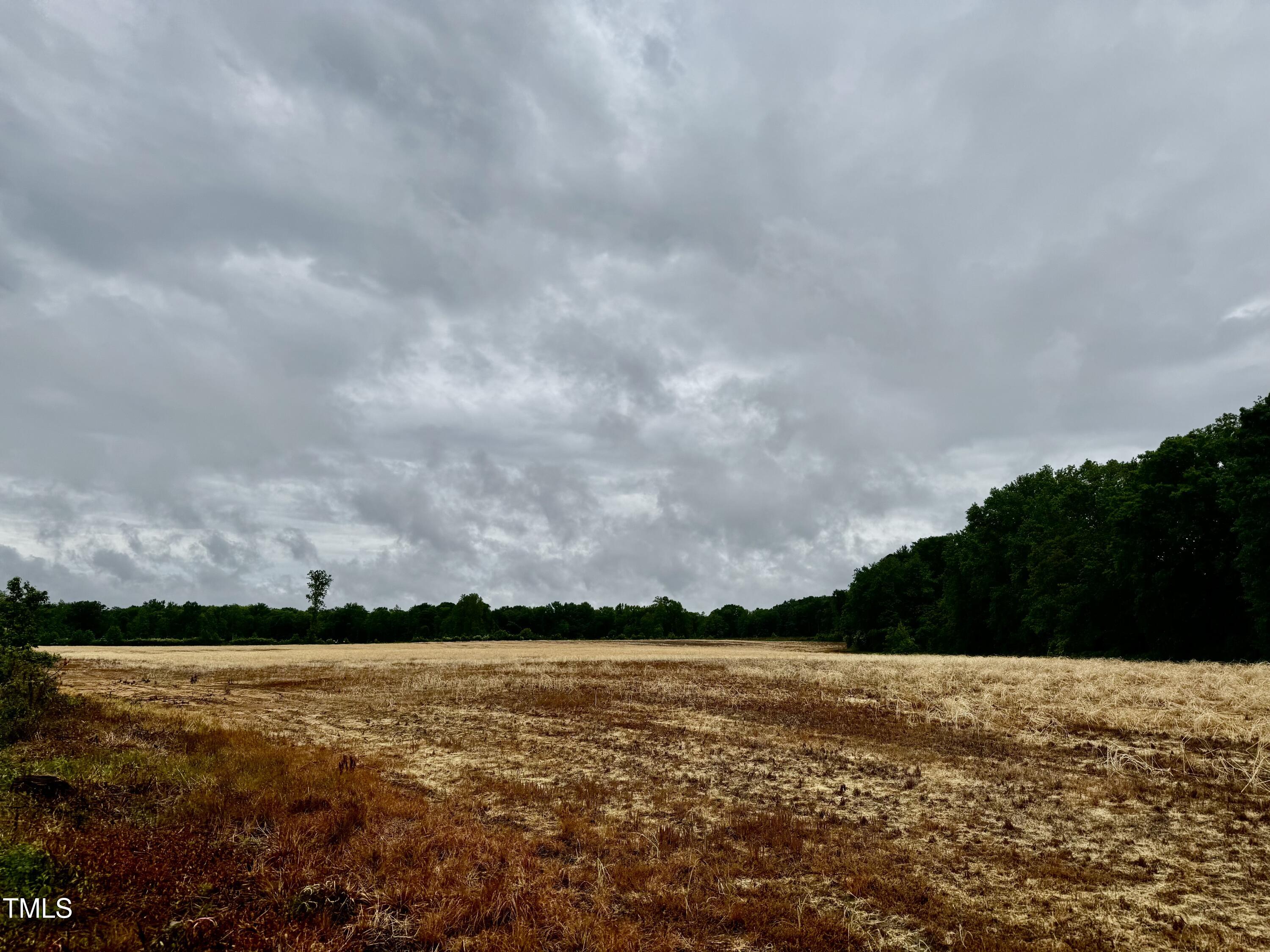 Murfreesboro, North Carolina, 27855, United States, ,Land,For Sale,1796477
