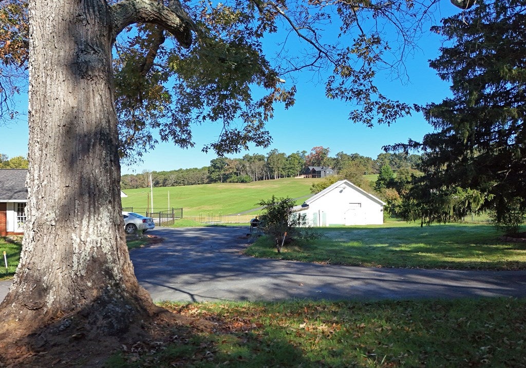 Morganton, Georgia, 30560, United States, 4 Bedrooms Bedrooms, ,3 BathroomsBathrooms,Residential,For Sale,1805518