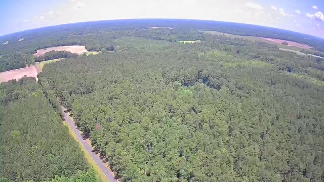 Reevesville, South Carolina, 29471, United States, ,Land,For Sale,1868815