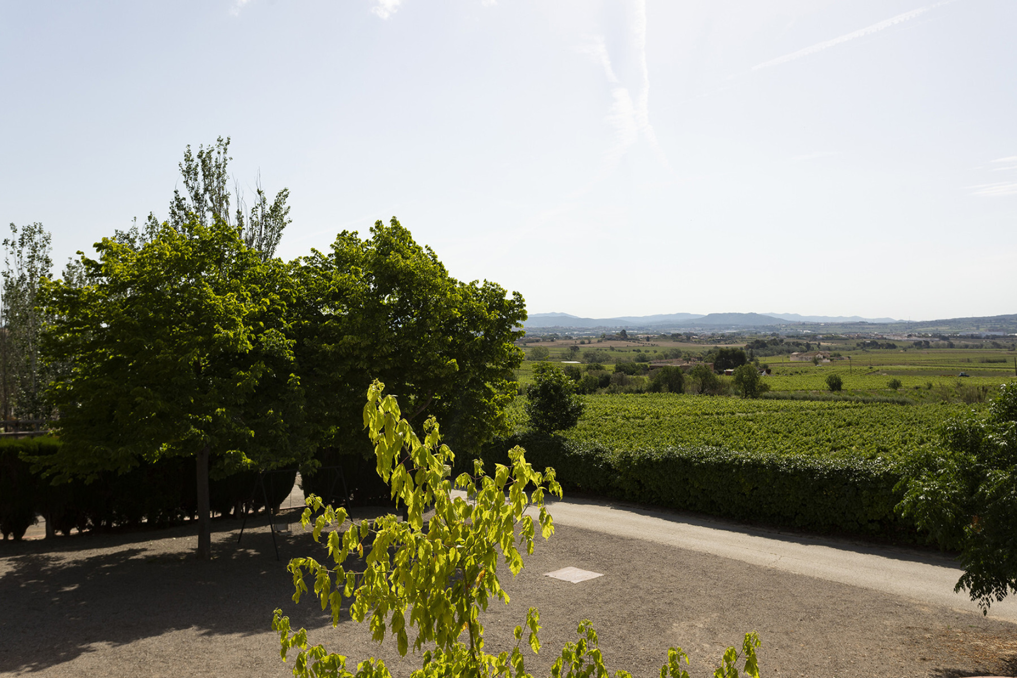  Equestrian Rural Gem in Castellví de la Marca, Only 5 Minutes from Vilafranca - 物件實景