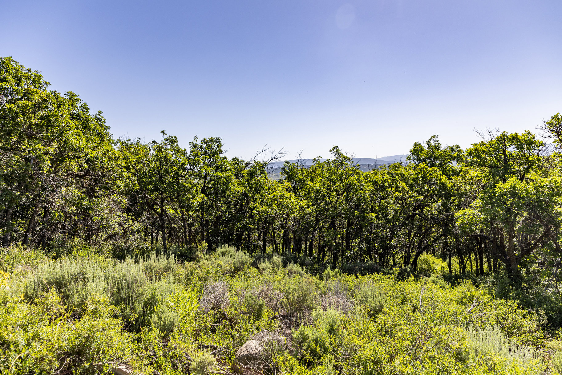  Privacy, Mountain Views, Downhill Build and Build up to Four Structures - 物件實景