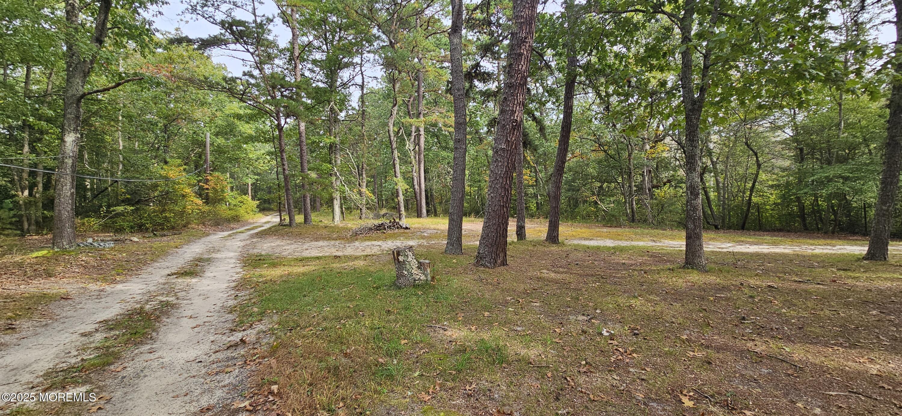 Jackson, New Jersey, 08527, United States, ,Land,For Sale,1977943