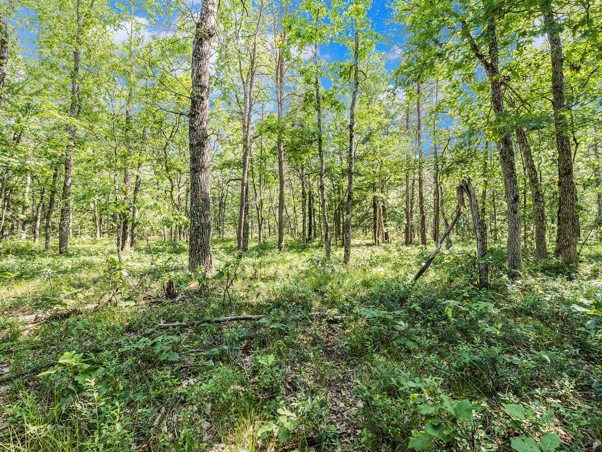 Manistee, Michigan, 49660, United States, 2 Bedrooms Bedrooms, ,2 BathroomsBathrooms,Residential,For Sale,1896192