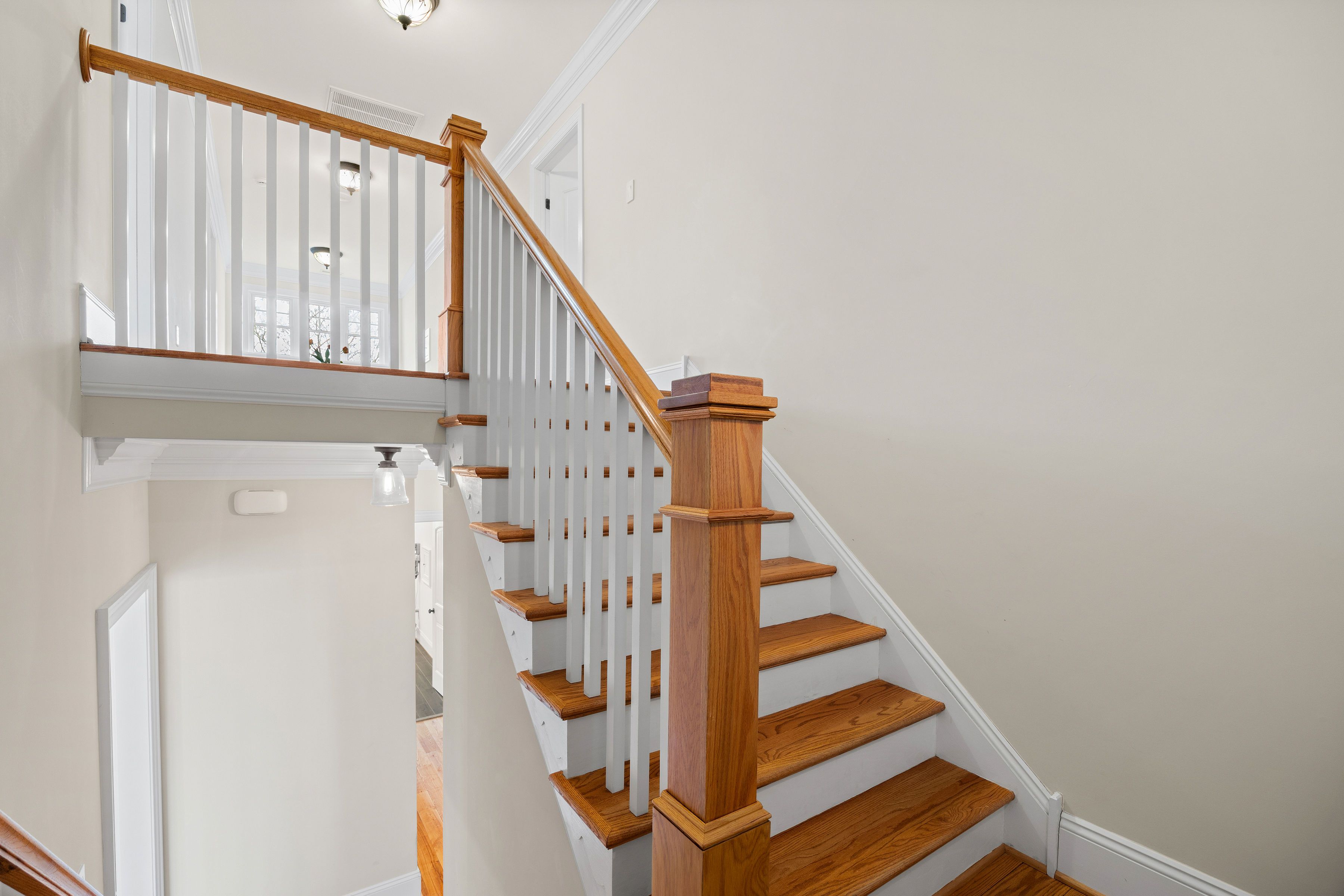  9305 Climbing Jasmine Way, Ashland, VA 23005 - 物件實景