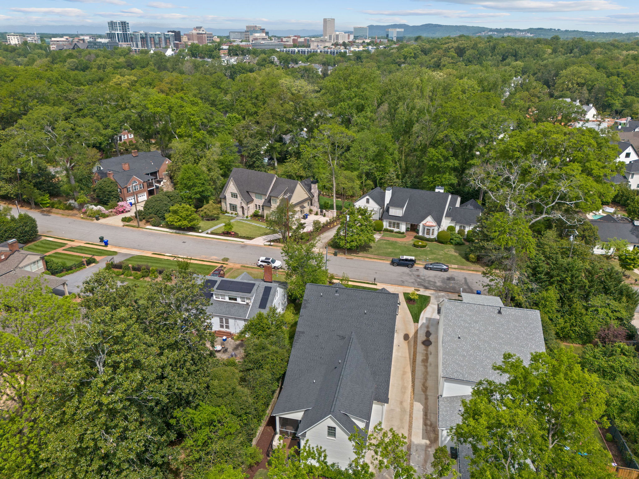  110 Newman Street, Greenville, SC 29601 - 物件實景