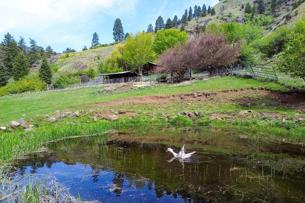 Riggins, Idaho, 83549, United States, 2 Bedrooms Bedrooms, ,1 BathroomBathrooms,Residential,For Sale,1825339