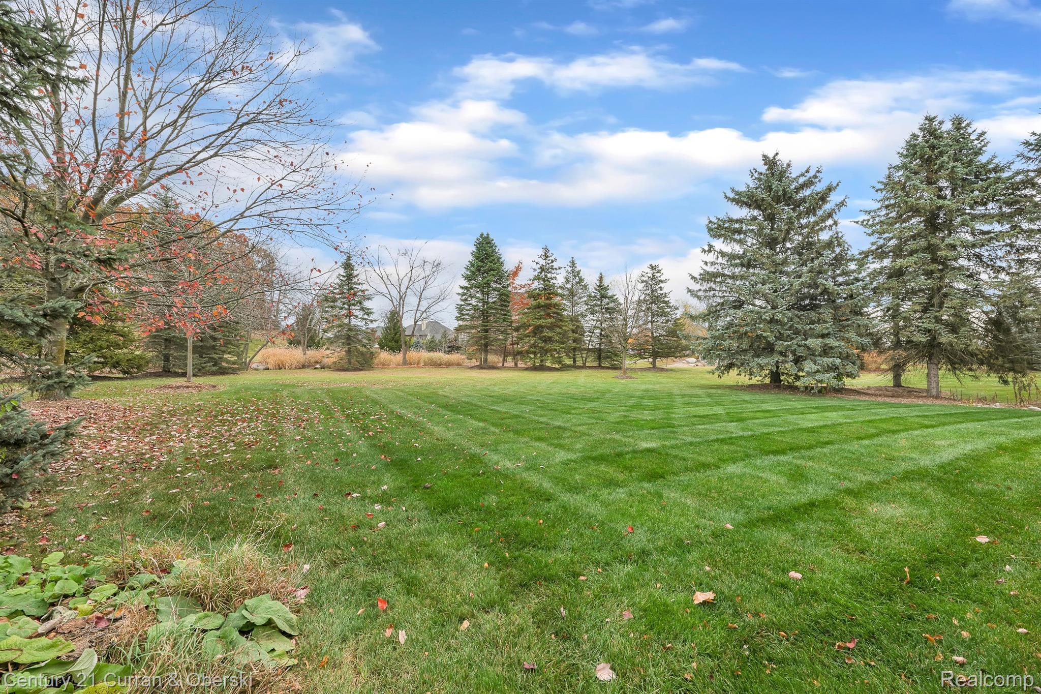 Northville Township, Michigan, 48168, United States, 6 Bedrooms Bedrooms, ,6 BathroomsBathrooms,Residential,For Sale,1976902