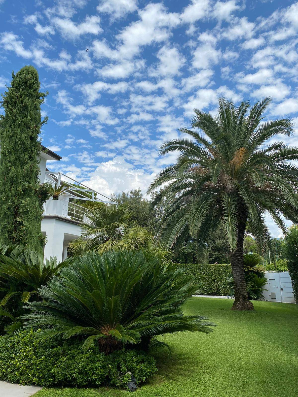 Via C. Carr?, Forte dei Marmi, Lucca, 55042, IT, 5 Bedrooms Bedrooms, ,7 BathroomsBathrooms,Residential,For Sale,Via C. Carr?,1615992