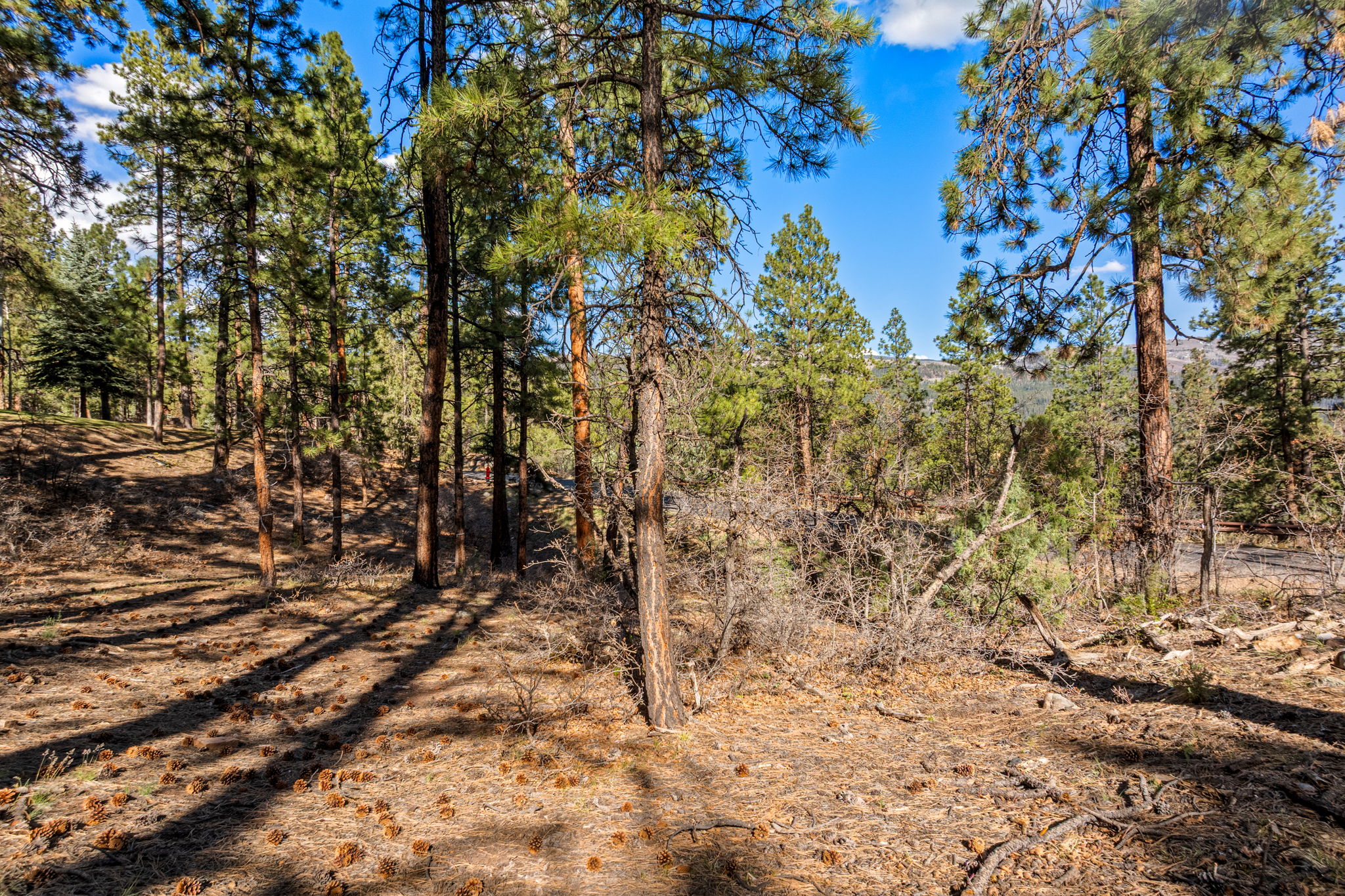  47 Ambush Canyon, Durango, CO 81301 - 物件實景