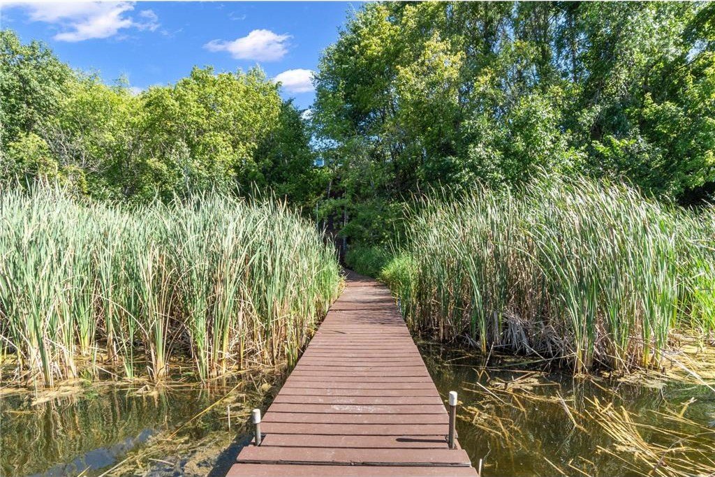 Brandon, Minnesota, 56315, United States, 3 Bedrooms Bedrooms, ,1 BathroomBathrooms,Residential,For Sale,1981953