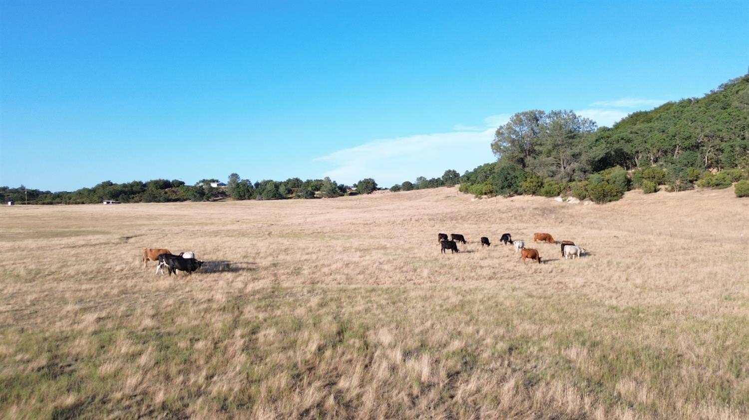 Burson, California, 95225, United States, ,Land,For Sale,2010412