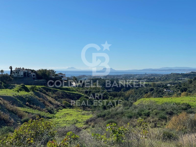 Estepona, Andalusia, ES, ,Residential,For Sale,1779639
