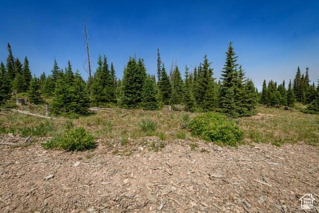 Brian Head, Utah, 84719, United States, ,Residential,For Sale,1915846
