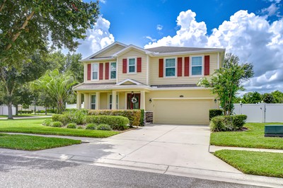 Land O Lakes, Florida, 34639, United States, 4 Bedrooms Bedrooms, ,3 BathroomsBathrooms,Residential,For Sale,1937225