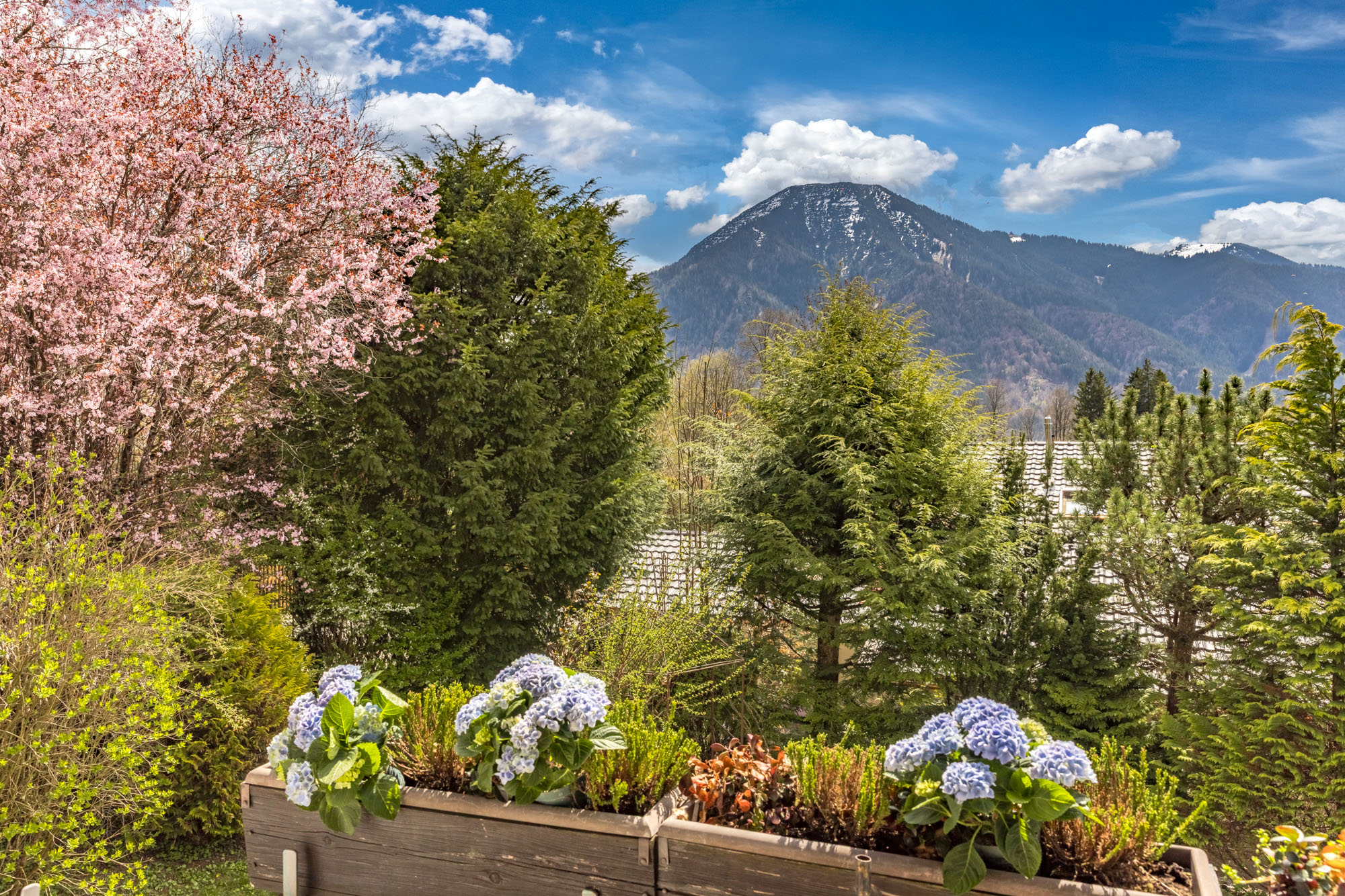  Alpine Living - Front Row to the Mountains - 物件實景