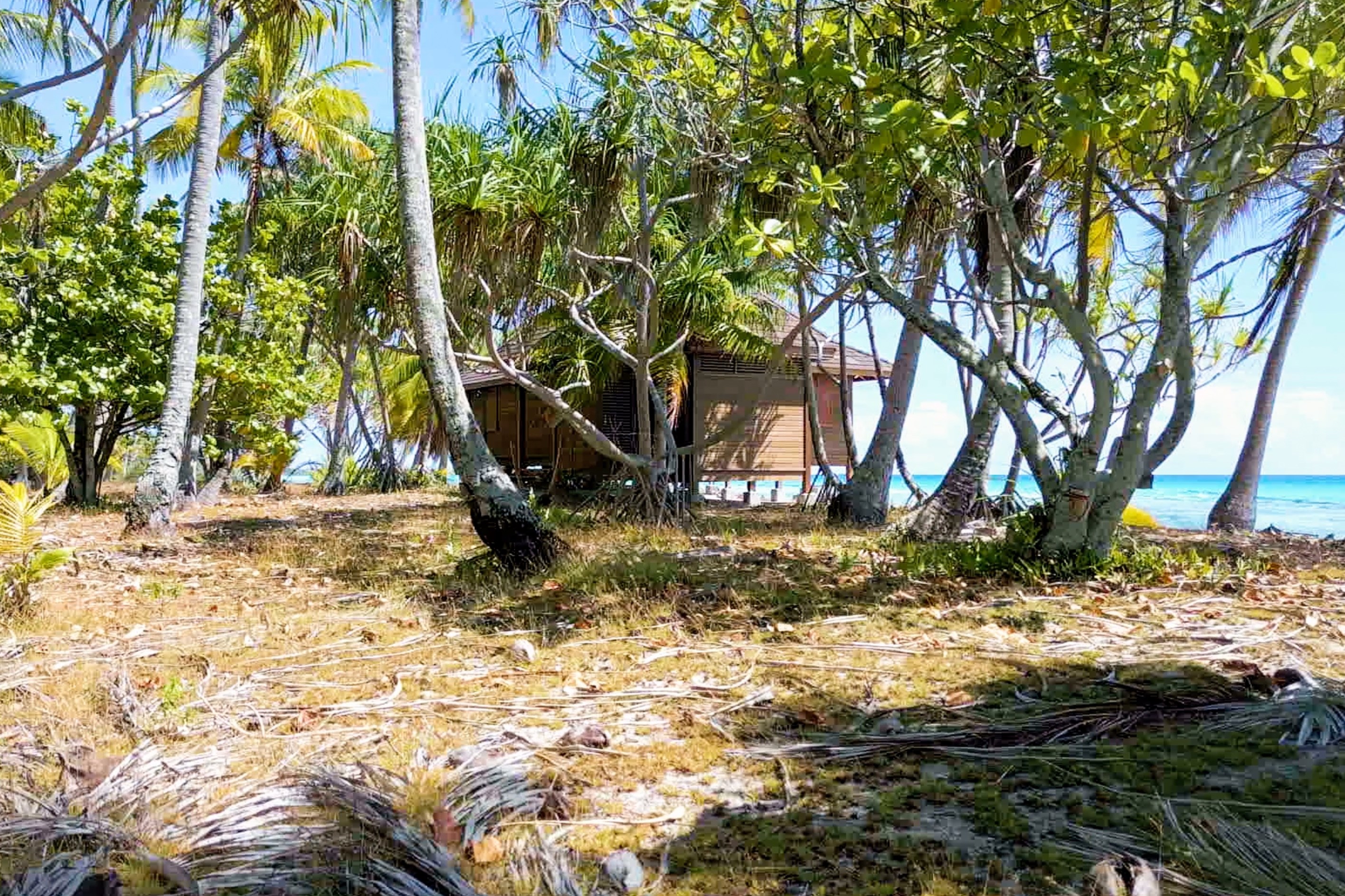  Tuamotu - Rangiroa - A private island to be reinvented - 物件實景