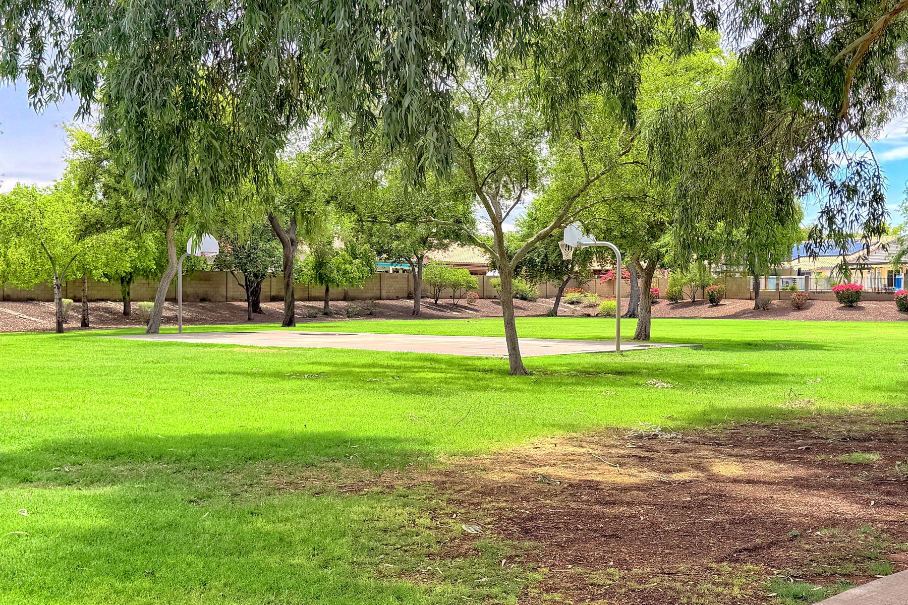  2348 E Stottler Drive¦Gilbert, AZ - 物件實景