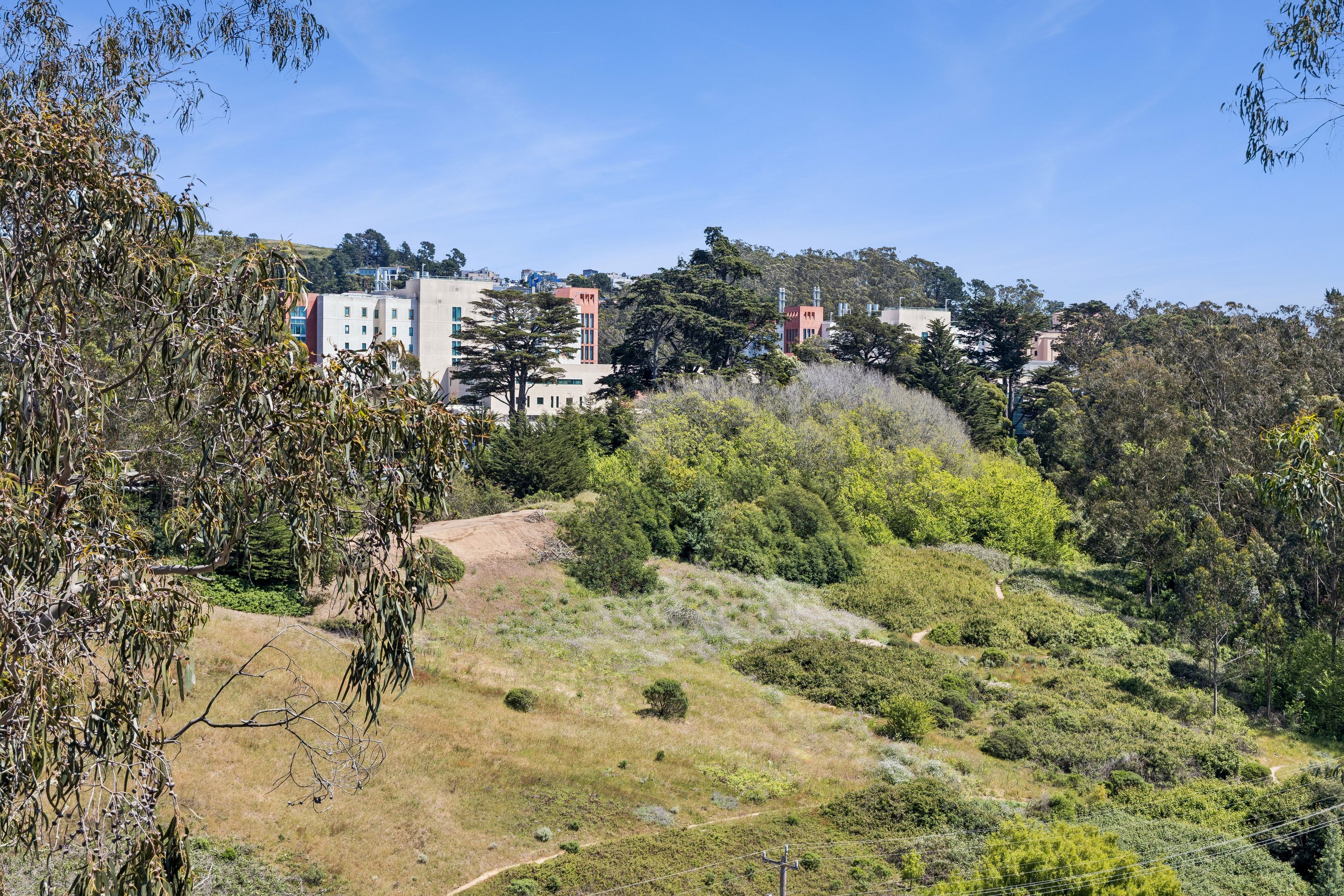  21 Castenada Avenue - 物件實景