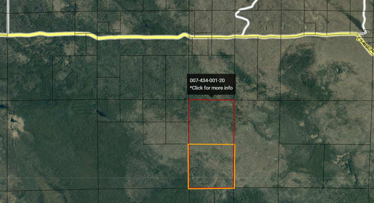 3625 E Simmons Rd RD, Hessel, Michigan, 49745, United States, ,Land,For Sale,3625 E Simmons Rd RD,1619252