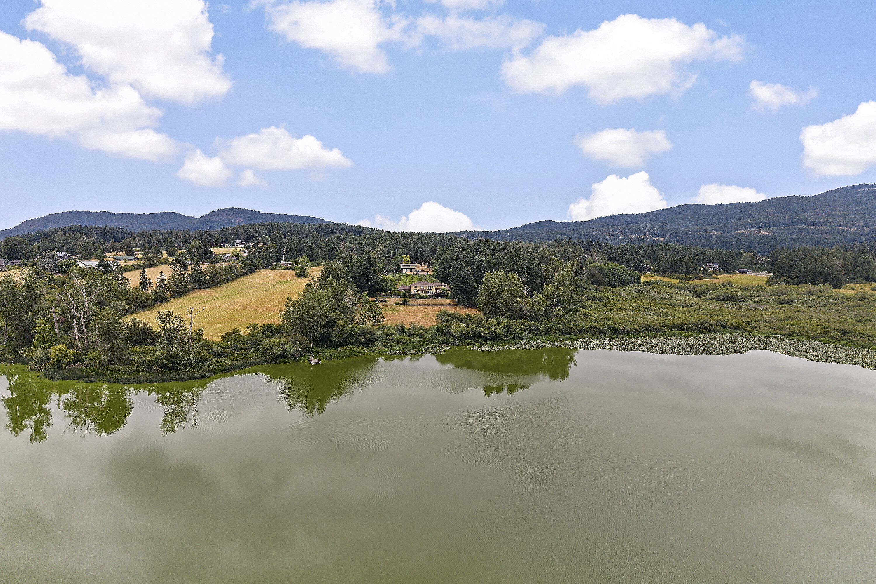  Remarkable Lakefront Estate - 物件實景