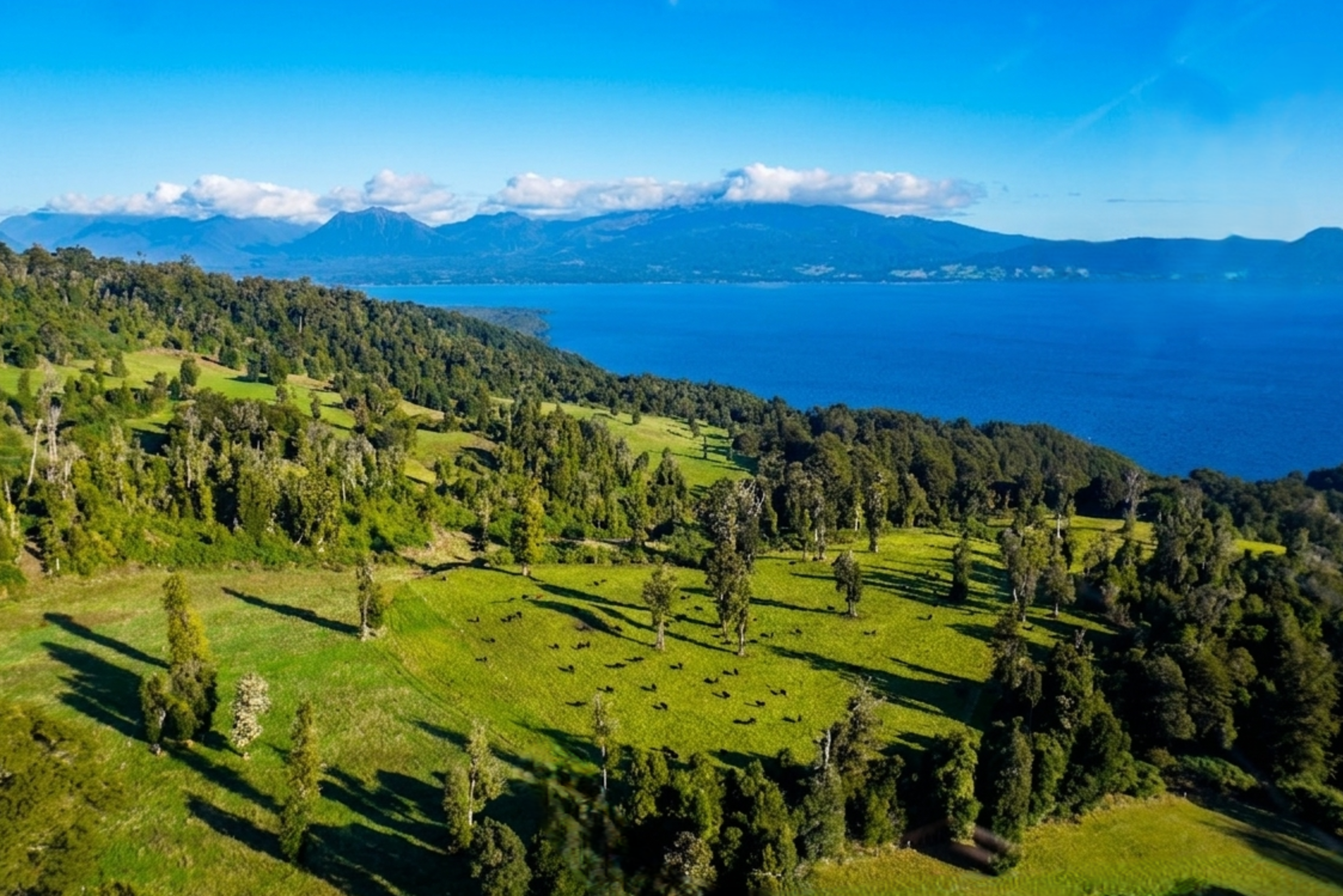  Cascadas 655 - 物件實景