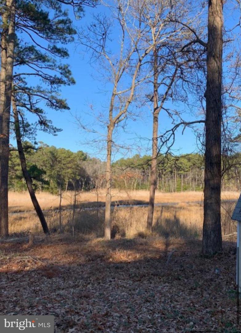 Rehoboth Beach, Delaware, 19971, United States, ,Land,For Sale,1885799