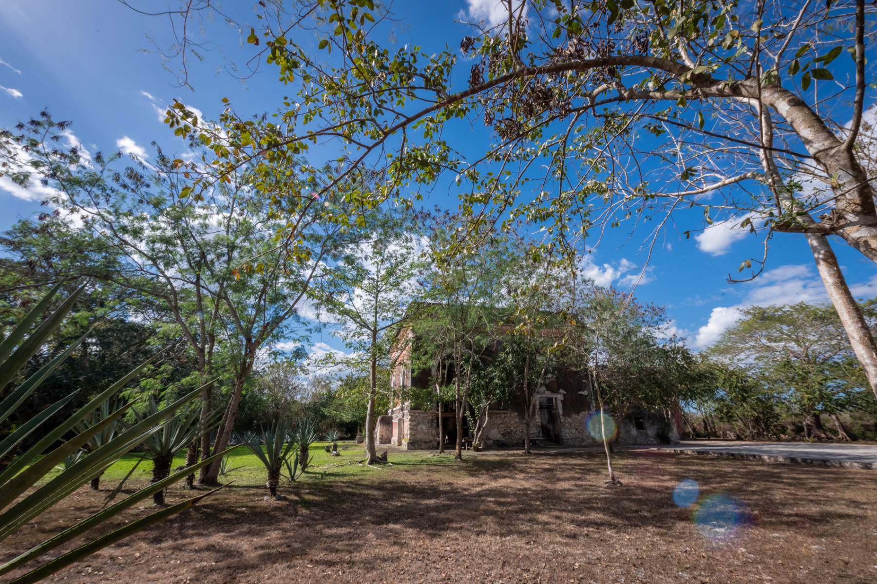  HACIENDA SERENITY OASIS RETREAT IN YUCATAN - 物件實景