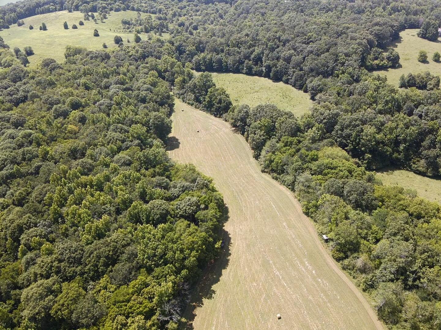 Bryant, Alabama, 35958, United States, ,Land,For Sale,1982684