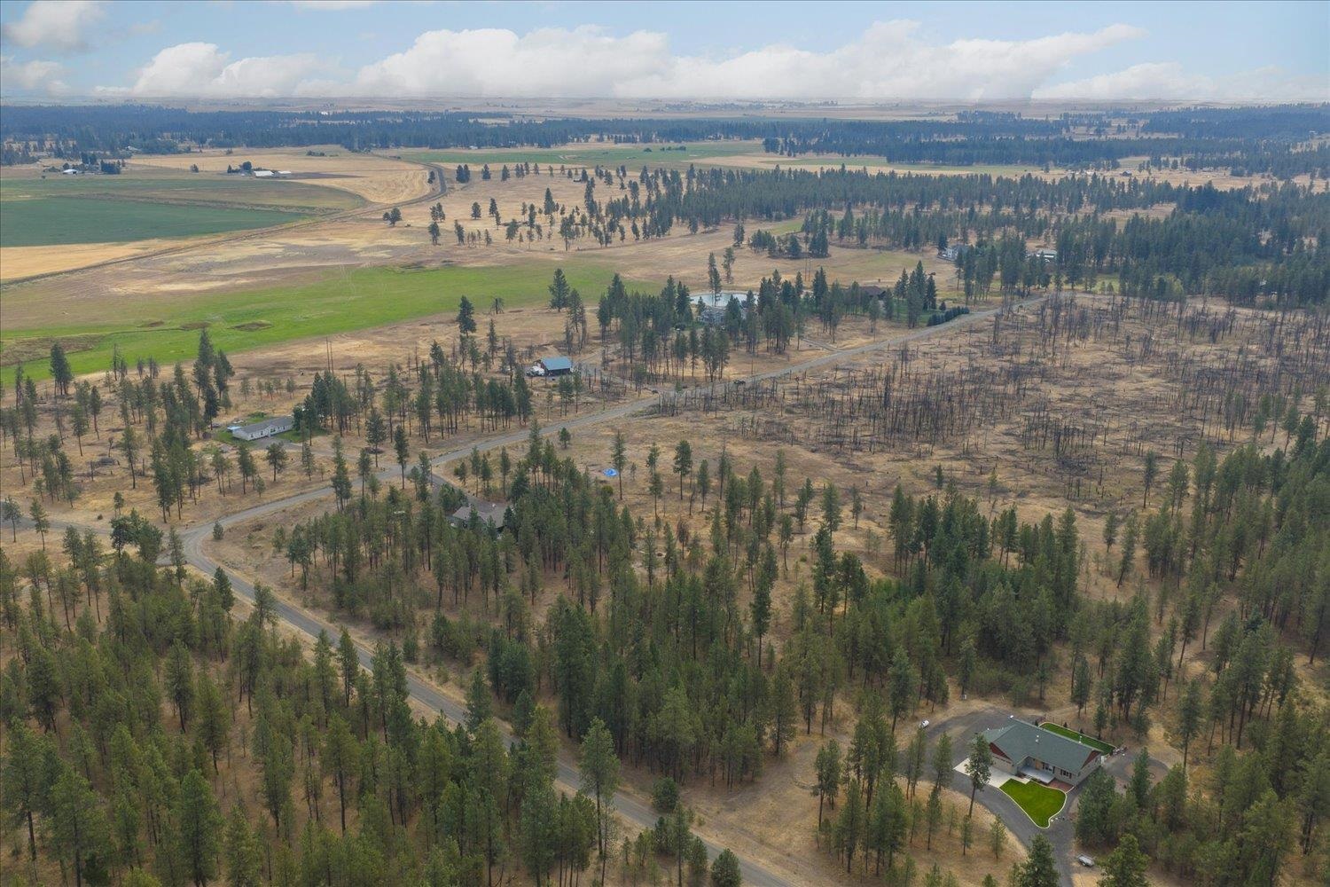 Cheney, Washington, 99004, United States, 4 Bedrooms Bedrooms, ,2 BathroomsBathrooms,Residential,For Sale,1978825