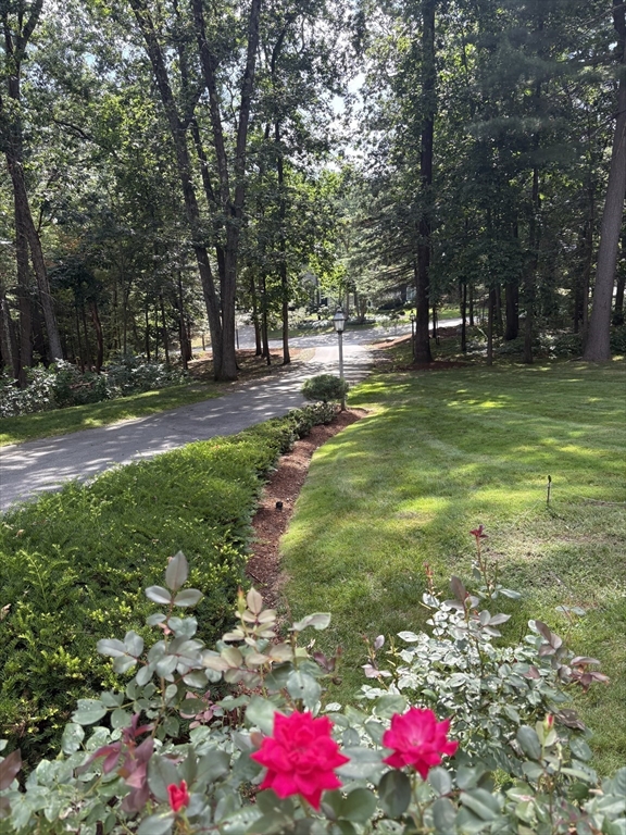 Middleton, Massachusetts, 01949, United States, 4 Bedrooms Bedrooms, ,3 BathroomsBathrooms,Residential,For Sale,1904457