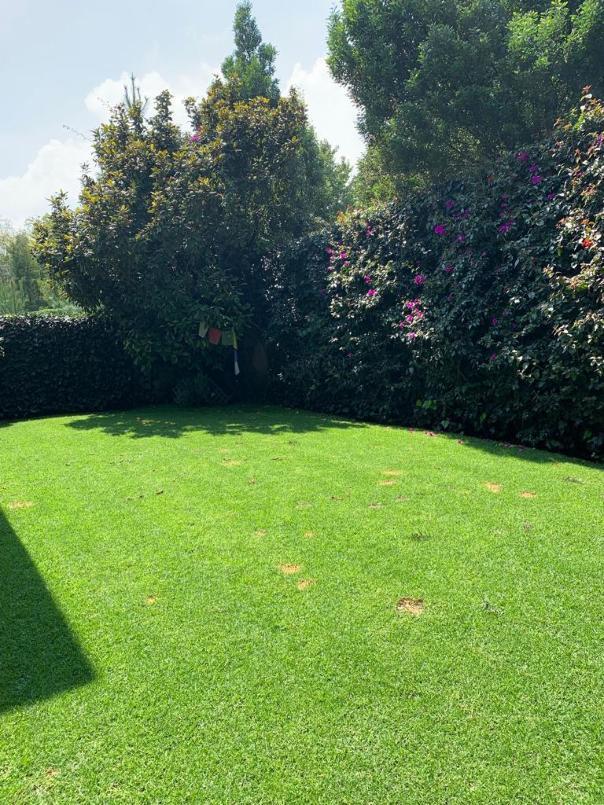Av. de los Poetas, Cumbres de Santa Fe, Cuajimalpa de Morelos, Ciudad de México, 05600, Mexico, 3 Bedrooms Bedrooms, ,3 BathroomsBathrooms,Residential,For Sale,Av. de los Poetas, Cumbres de Santa Fe,1628014