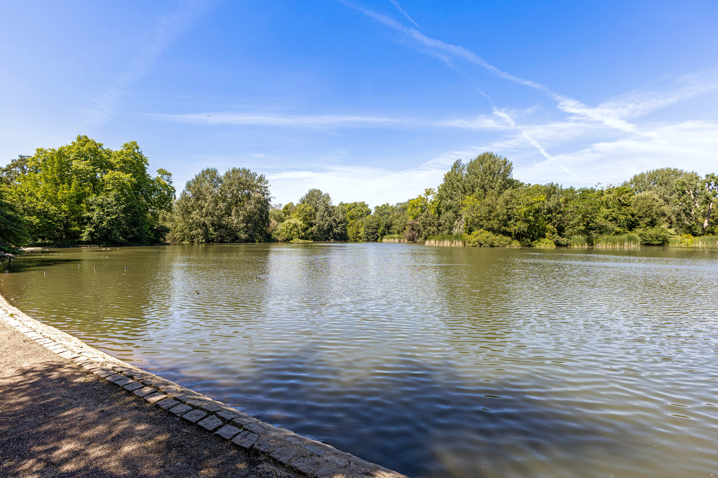  Grand Mansion Apartment Next to Battersea Park - 物件實景