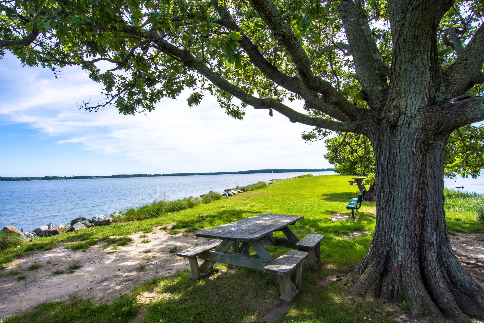  100 Bush, Saint Michaels, MD, 21663 - 物件實景