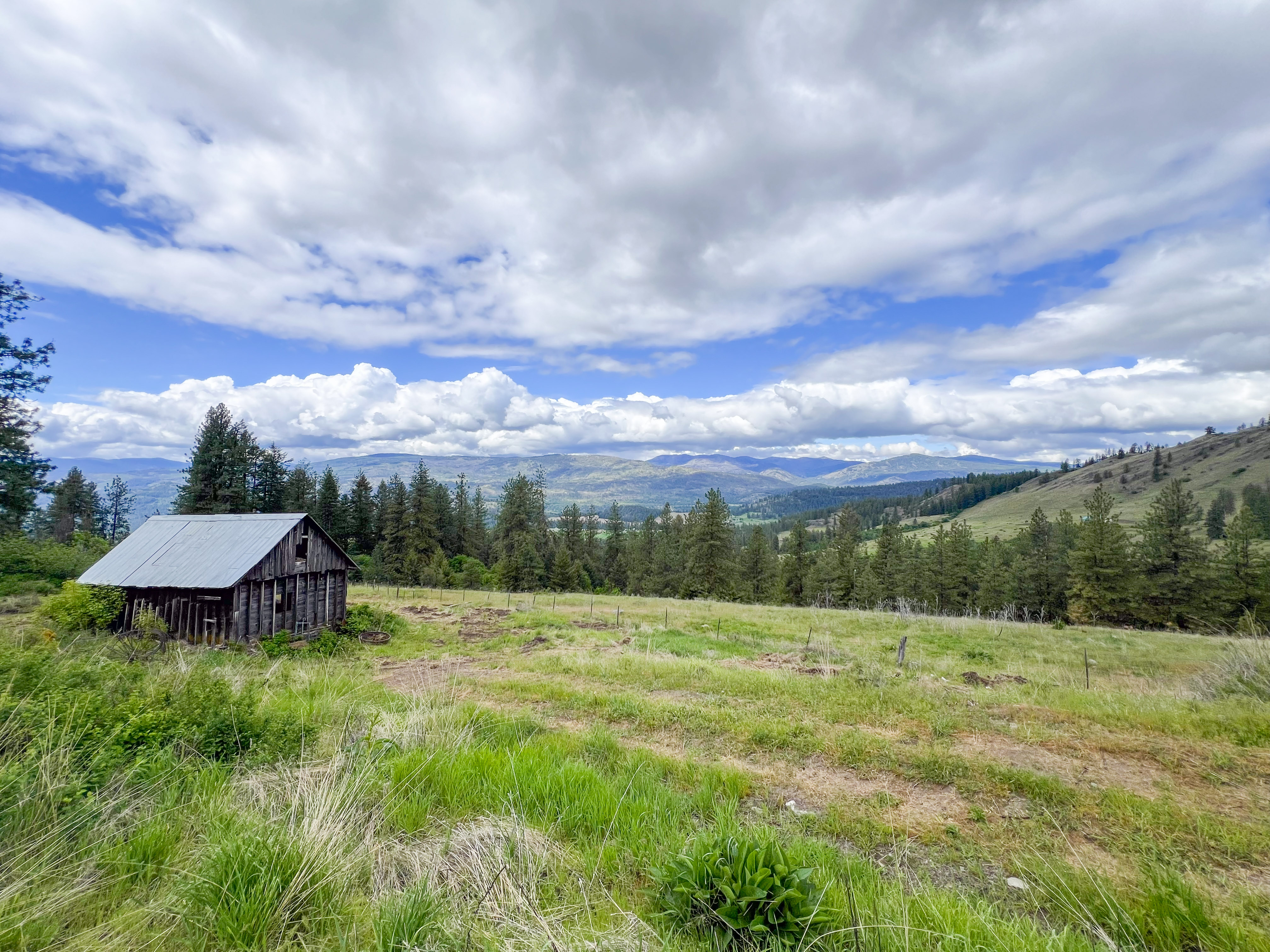 Kettle Falls, Washington, 99141, United States, 3 Bedrooms Bedrooms, ,2 BathroomsBathrooms,Residential,For Sale,1985709